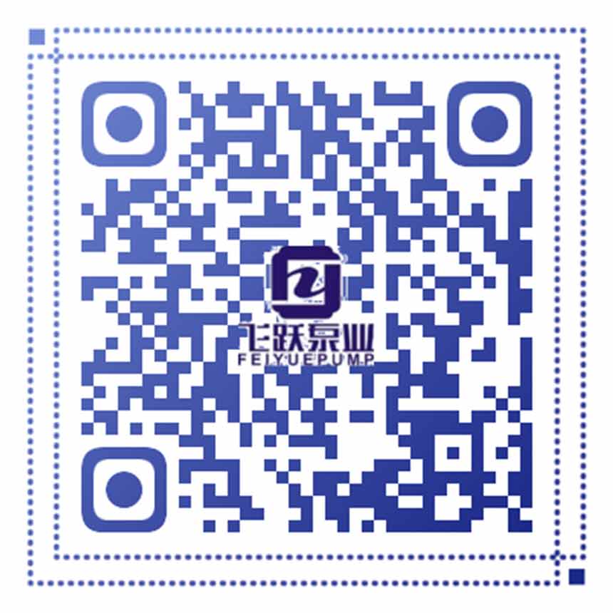 江蘇飛躍泵業(yè)股份有限公司